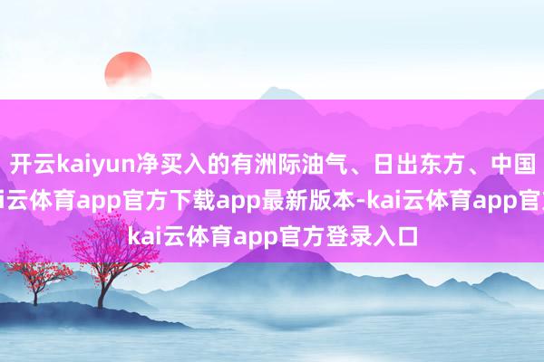 开云kaiyun净买入的有洲际油气、日出东方、中国出书等-kai云体育app官方下载app最新版本-kai云体育app官方登录入口