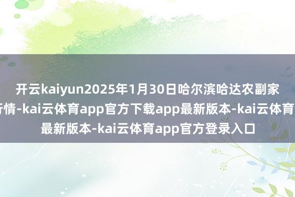 开云kaiyun2025年1月30日哈尔滨哈达农副家具有限公司价钱行情-kai云体育app官方下载app最新版本-kai云体育app官方登录入口