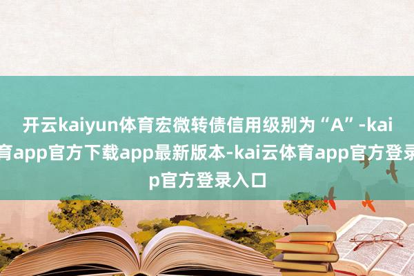 开云kaiyun体育宏微转债信用级别为“A”-kai云体育app官方下载app最新版本-kai云体育app官方登录入口