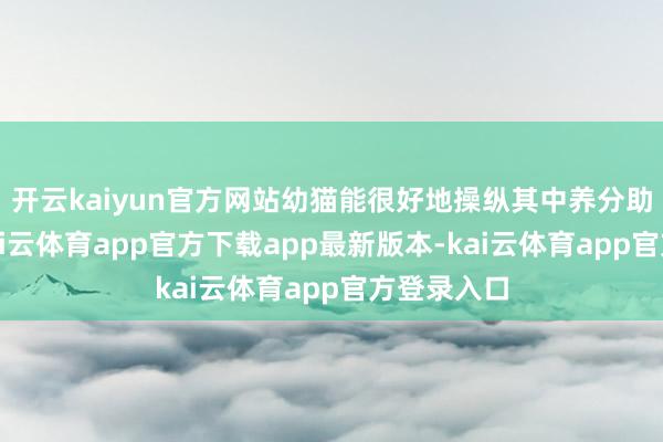 开云kaiyun官方网站幼猫能很好地操纵其中养分助力成长-kai云体育app官方下载app最新版本-kai云体育app官方登录入口