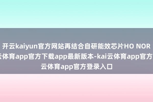 开云kaiyun官方网站再结合自研能效芯片HO NORE2-kai云体育app官方下载app最新版本-kai云体育app官方登录入口
